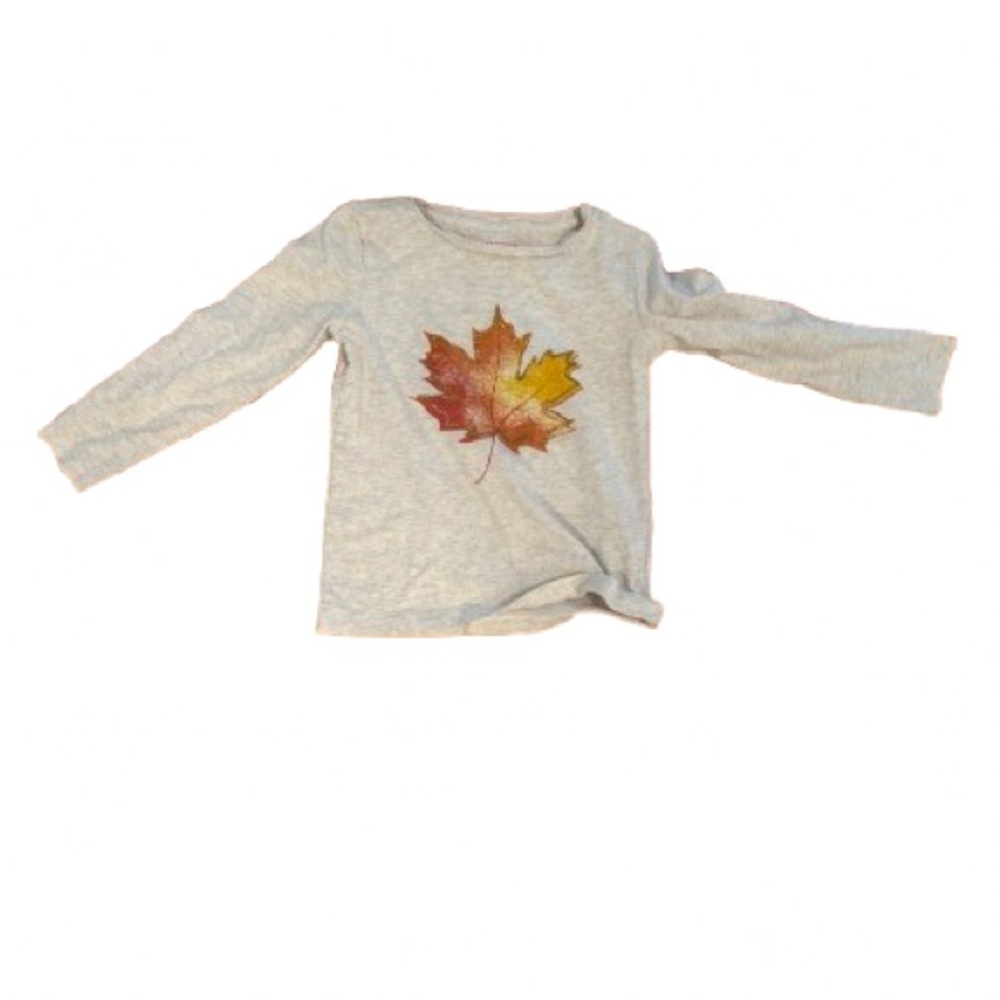 Gray and Orange Long Sleeve Tee with Leaf Graphic